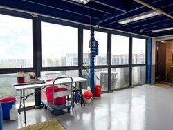 Win 5 (D27), Factory #498127841